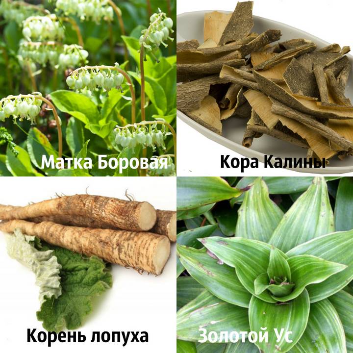 Які симптоми характеризує надлишок жіночих гормонів естрогенів » журнал здоров'я iHealth 2