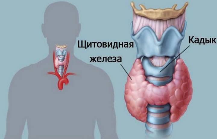 Як і коли здавати аналізи на гормони у жінок? » журнал здоров'я iHealth 